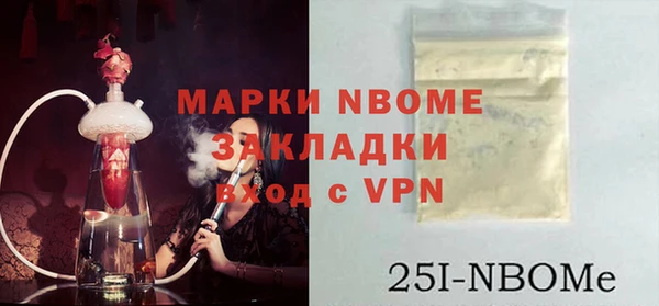 шишки Сосновка