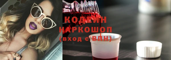 шишки Сосновка