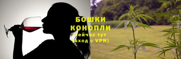 крисы Богородицк